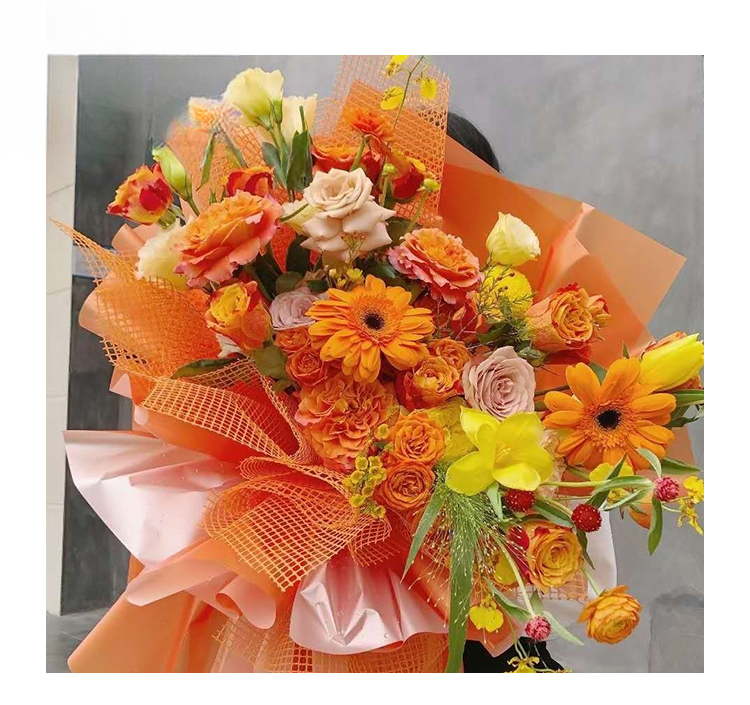 Wrapping Mesh-FGW - 50cm*5Y