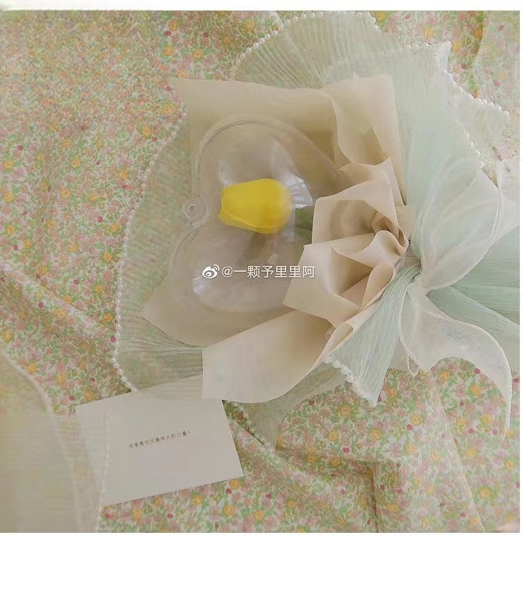 Mesh ZZLHS - 28cm*4Y