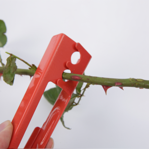 Wholesale Florist Supply Stab Cut DCQ 14×4×2.5cm