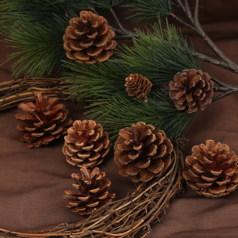 Wholesale Christmas Floral Decoration Pine cones 00