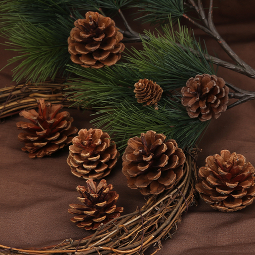 Wholesale Christmas Floral Decoration Pine cones 00