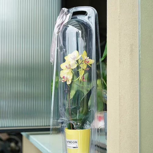 Wholesale Flower Box & Vase PET BOX XSH-001 l:16.1×55CM
