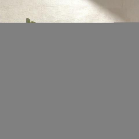 Wholesale Flower Gift Box RBBSMCTYT 17.7×17.7×16cm