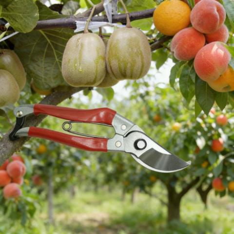 Wholesale Florist Supply pruning shears TY-H2 205mm×65mm